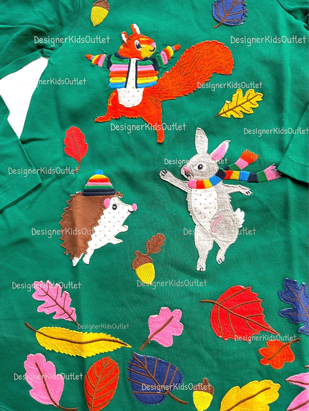 Mini Boden Fall Big Appliqué Jersey Dress in Green Squirrel Hedgehog –  Designer Kids Outlet