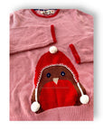 NWOT Mini Boden Novelty Jumper Almond Pink Robin Sweater